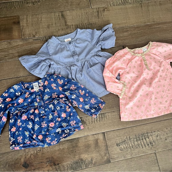 Cat & Jack Other - 3 Cat & Jack Carter’s Toddler Girl Bundle Lot Tops Shirts 18M Bundle Lot